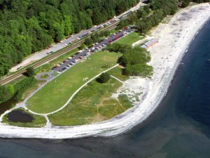 Golden Gardens