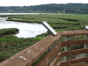 Mary E. Theler Wetlands