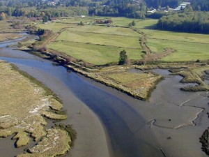 Pacific Northwest Salmon Center