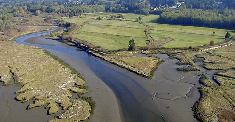 Pacific-Northwest-Salmon-Center-1