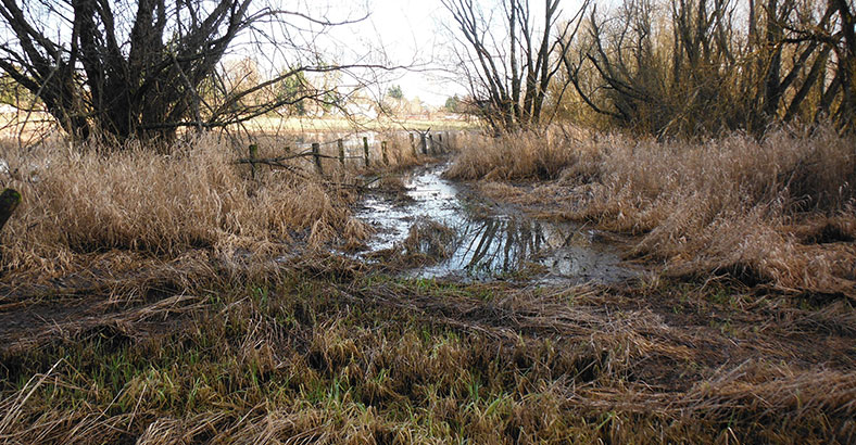 Upper-Clear-Creek-Habitat-Project-1