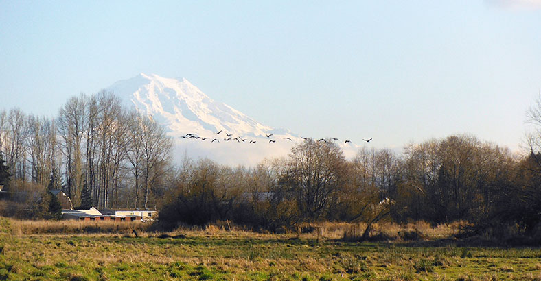 Upper-Clear-Creek-Habitat-Project-2