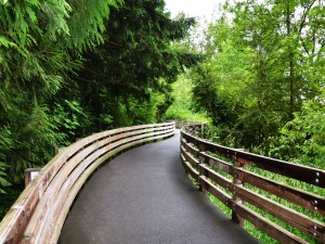 Nathan Chapman Memorial Trail