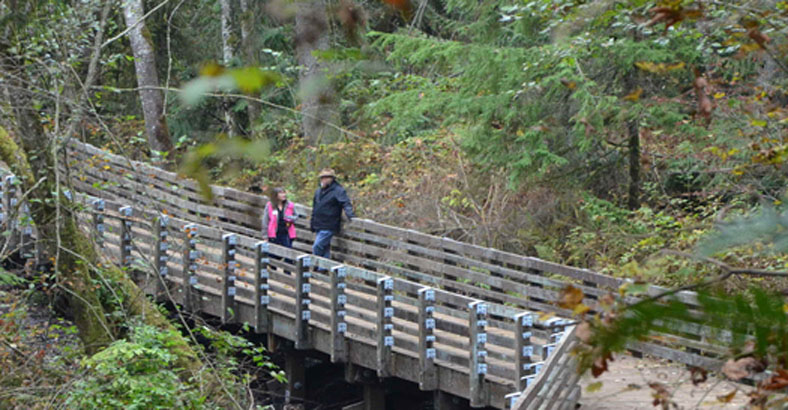 Fennel-Creek-Trail-1