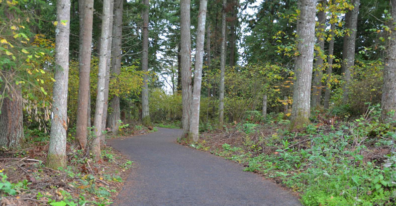 Fennel-Creek-Trail-3