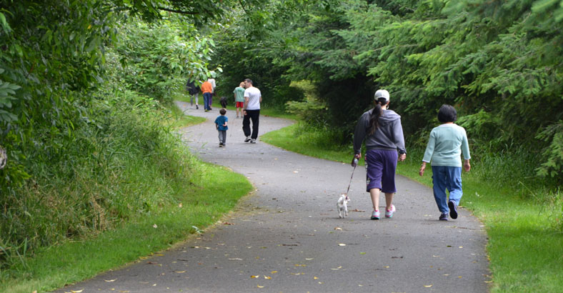 Nathan-Chapman-Memorial-Trail-7